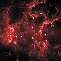 Stellar Grouping in Cygnus X